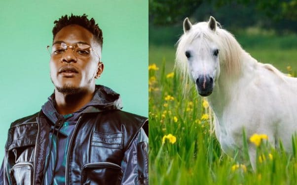 Niska et Madrane s’offrent… un cheval pour le clip de « Bandit chef »