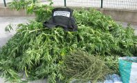 Cannabis : la gendarmerie propose son aide pour s'en débarrasser avec humour