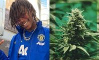 Koba LaD lance un concours pour faire gagner du CBD