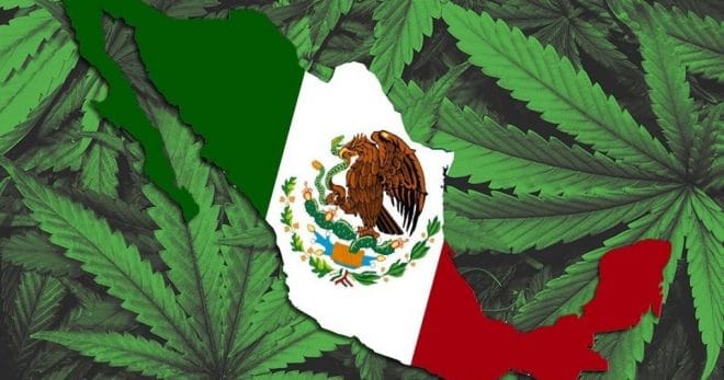 Le Mexique fête noël en légalisant le Cannabis