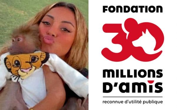 30 millions d’amis s’en prend à Wejdene après son post avec un singe