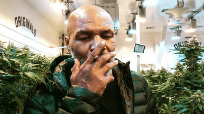 Mike Tyson avait fumé un joint avant son combat face à Roy Jones Jr