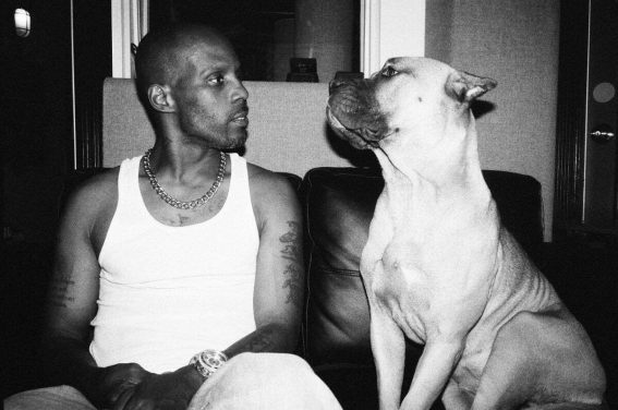 DMX : sa chienne entraînée à grogner dans ses battles