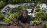 Découvrez Ron Finley, le jardinier gangsta à sa façon