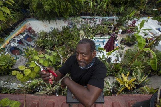 Découvrez Ron Finley, le jardinier gangsta à sa façon