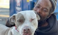 Un homme sans-abri sauve 16 animaux d'un refuge en feu