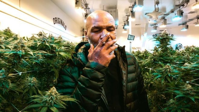 Mike Tyson récolte un joli pactole grâce à son business d’herbe