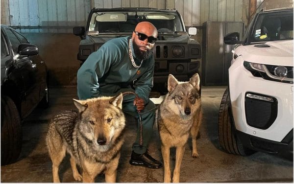 Kaaris annonce la sortie du premier extrait de son album « Château Noir »