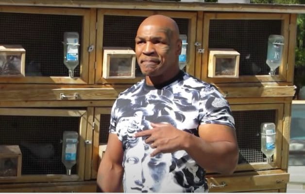 mike tyson