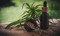 Et si un massage au Cannabidiol soignait vos maux grâce à une huile ?