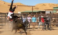 Jackass Forever : la première bande-annonce du film envoie du lourd