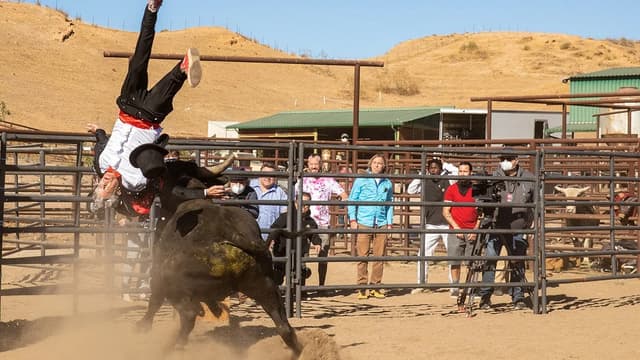 Jackass Forever : la première bande-annonce du film envoie du lourd