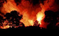Var : des milliers d'hectares brûlés dans un terrible incendie