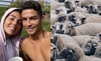 Cristiano Ronaldo n'en peut plus : il déménage à cause des moutons