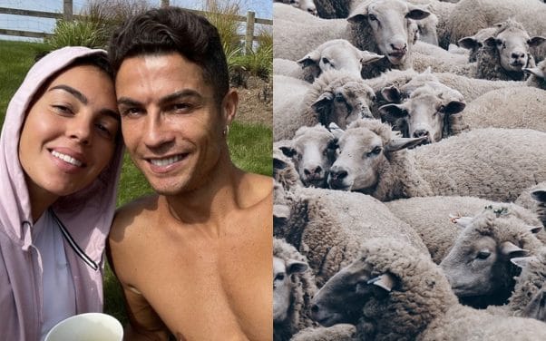 Cristiano Ronaldo n'en peut plus : il déménage à cause des moutons