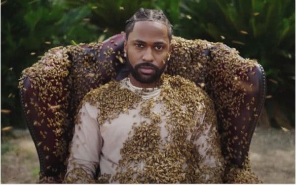 Big Sean se couvre de 65 000 abeilles pour son nouveau clip « What a life »