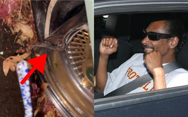 Snoop Dogg dévoile sa voiture détruite, il l'a échappé bel