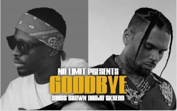Dadju lâche son featuring avec Chris Brown, intitulé « Goodbye »