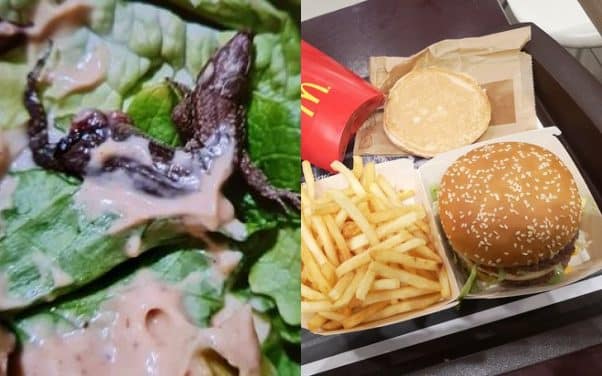 McDonald’s offre un bon de 10% de réduction après la découverte d’un lézard dans un burger