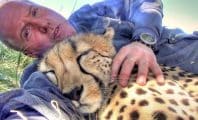 Un photographe animalier devient le meilleur ami d'un guépard