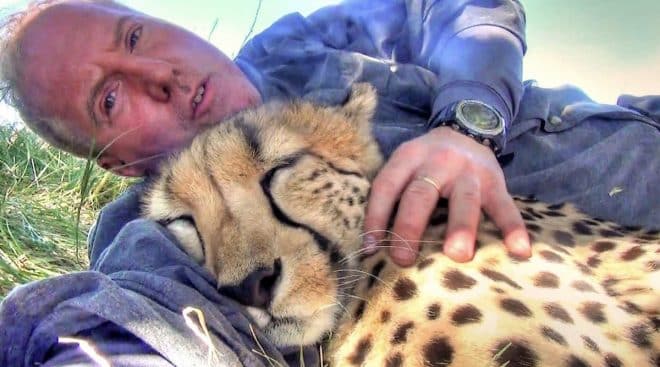 Un photographe animalier devient le meilleur ami d’un guépard