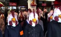 Des militants déguisés en poulet envahissent un Burger King parisien