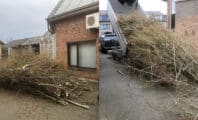 Un jardinier se venge d'un client mauvais payeur à sa façon