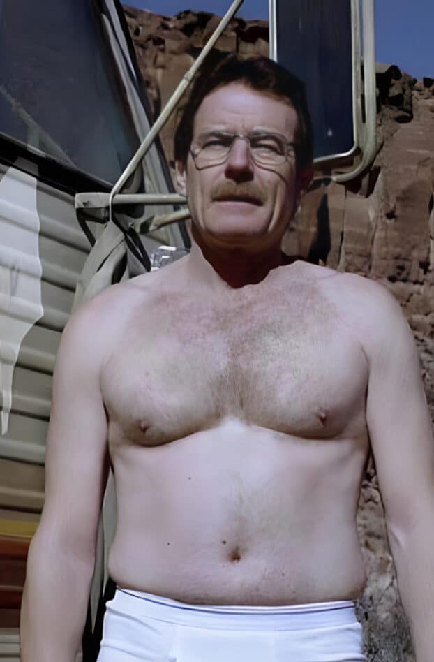 Breaking Bad : Le slip de Walter White vendu aux enchères pour 32 000 dollars