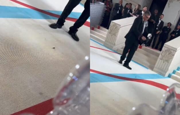 Met Gala : Un cafard vole la vedette sur le redcarpet