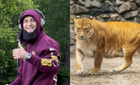 Khamzat Chimaev affronte un ligre lors d'un entraînement