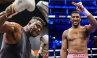 Francis Ngannou va toucher une somme astronomique pour son combat contre Anthony Joshua