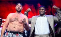 Francis Ngannou fait une proposition après le report du combat de Tyson Fury et Oleksandr Usyk