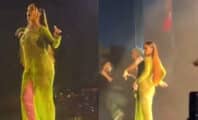 Rihanna remonte sur scène pour un show à un mariage indien pour 9 millions