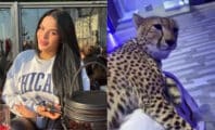 Sarah Fraisou manque de se faire croquer le visage par un guépard