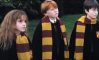 Les fans d'Harry Potter seraient trop immatures et gamins selon une star de la saga