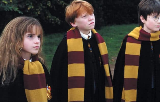 Les fans d'Harry Potter seraient trop immatures et gamins selon une star de la saga