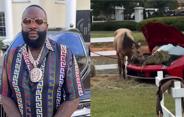 Rick Ross richissime : il utilise le coffre de ses Ferrari pour nourrir ses chevaux