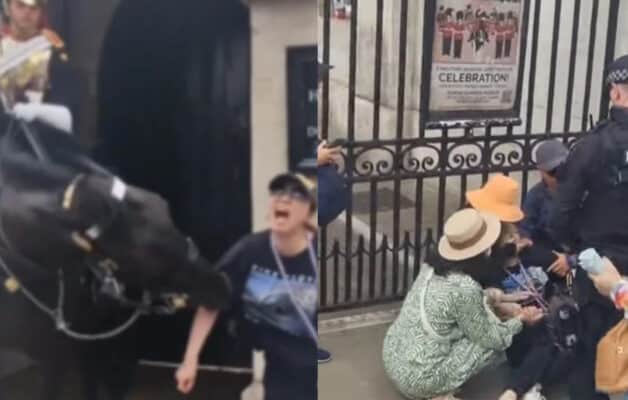 Mordue par un cheval de la garde royale britannique, une touriste s'effondre et amuse les passants