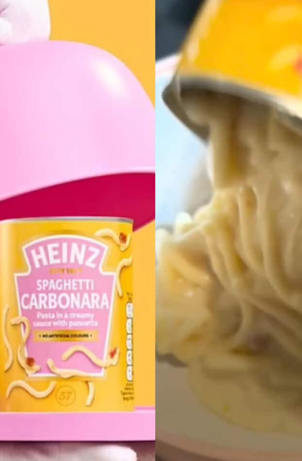 « De la nourriture pour chats » : Les pâtes carbonara de Heinz scandalise les consommateurs