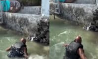 Booba répond aux critiques après sa vidéo où il sauve un chien de la noyade